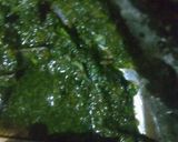 A picture of step 3 of Kiwi mint chutney.