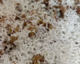 A picture of step 4 of Macroni.
