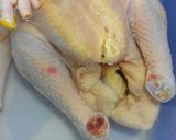Foto langkah ke 3 dari resep Ayam panggang ala jammie oliver.
