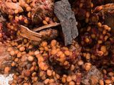 خورش قیمه