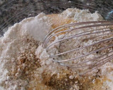 Foto del paso 1 de la receta: Delicias de pollo