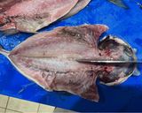 A picture of step 1 of Japanese semi-dried horse mackerel.