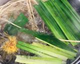 Hình bước làm 1 của món Nước mát hoa cúc