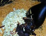 A picture of step 2 of Sheer khurma.