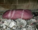 Foto del paso 4 de la receta: Bondiola al trapo
