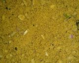 A picture of step 3 of Tandoori litti.