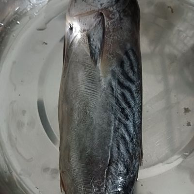 Langkah 2