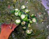 A picture of step 10 of Methi palak aloo.