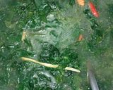 Foto langkah ke 3 dari resep Sayur santan daun singkong.