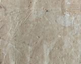 Foto langkah ke 3 dari resep Odeng/Fish Cake.