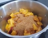 Foto del paso 1 de la receta: Mermelada de melocotón y nectarina con toque de lima y jengibre