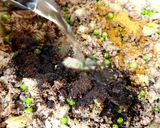 A picture of step 3 of My Version of Cottage Pie 😙.