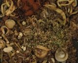 A picture of step 4 of Mustardy Twist Pasta.