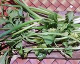 Foto langkah ke 3 dari resep Bakwan Jagung enak👍😍.