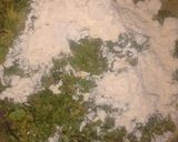 A picture of step 1 of Palak Kofta Curry.