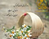 عکس مرحله 5 از دستور 🪷 میرزاقاسمی 🪷