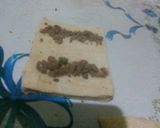 Foto del paso 11 de la receta: Masa danesa y figuras