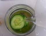Lime Cucumber Ginger Water recipe step 4 photo