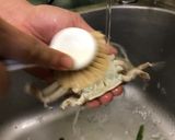 🦀彩椒滑蛋澎湖扁蟹🦀的食譜步驟1照片