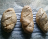 Foto del paso 8 de la receta: Pan rústico