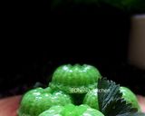 Foto langkah ke 4 dari resep Puding lumut.