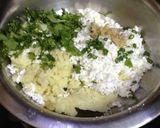 मलाई कोफ्ता(malai kofta recipe in hindi) रेसिपी चरण 2 फोटो