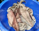 Foto del paso 2 de la receta Calamares Rellenos