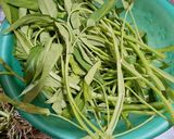 Foto langkah ke 1 dari resep 95. Plecing kangkung.