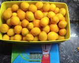 Foto del paso 1 de la receta: Kinotos en almíbar