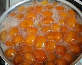 Foto del paso 3 de la receta: Quinotos en almíbar