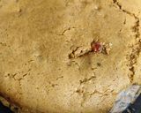 A picture of step 7 of Chocolate Cake.