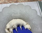 Foto del paso 3 de la receta: Baozi: Panecillos Chinos al Vapor con Relleno Dulce