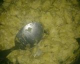 Foto del paso 4 de la receta: Revuelto de huevo especial