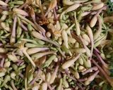 Foto langkah ke 1 dari resep Tumis Bunga Pepaya Teri (tidak pahit).