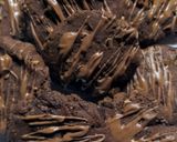 Foto del paso 3 de la receta: Galletitas de chocolate y cacao