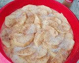 Foto del paso 6 de la receta: Torta de manzanas verdes