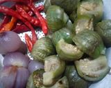 Foto langkah ke 2 dari resep Sambal Terong Lalap.