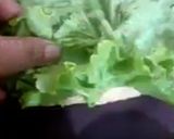 A picture of step 3 of Mexican Salad Rolls.
