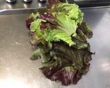 Une image de l'étape 5 de Salade composée laitue, concombre, betteraves et olives.