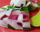 Foto del paso 11 de la receta: Gelatina mosaico de Navidad