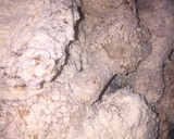 A picture of step 3 of Chicken nugget.
