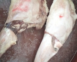 Foto del paso 6 de la receta: Paletillas de Cabrito Asadas