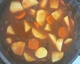 Foto del paso 5 de la receta: Estofado de carne con verduras