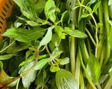 Hình bước làm 2 của món Bún bò nhà làm