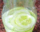 A picture of step 2 of Detox Water / Spa Water / Infused Water On The Go (Lemon cucumber mint ginger).