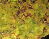 A picture of step 2 of Methi parantha.