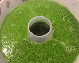 Foto langkah ke 7 dari resep Puding Lumut daun Suji dan Pandan.