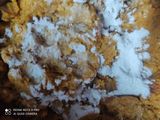 পাম্পকিন বল পিজ্জা (pumpkin ball pizza recipe in Bengali)