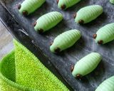 A picture of step 8 of Caterpillar Cookies.