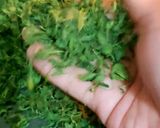 होममेड कसूरी मेथी (Homemade kasoori methi recipe in Hindi) रेसिपी चरण 4 फोटो